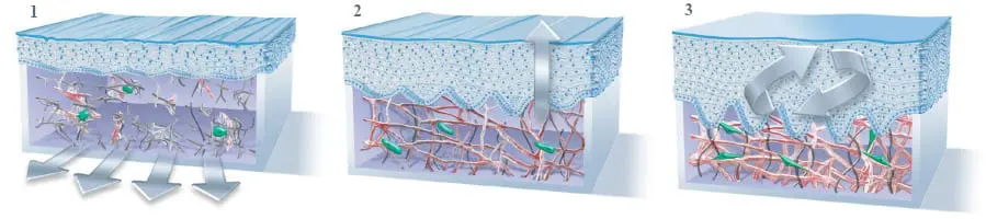 Harrington SpaVie-TriHex technology works to remove old cells, rebuild new cells and replenish the skin's rejuvenation process.